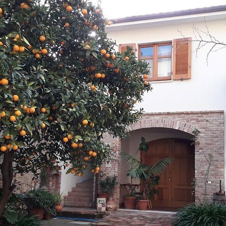 Apartamento L'arancio Antico Iglesias Exterior foto